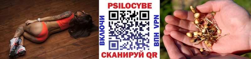 Псилоцибиновые грибы Magic Shrooms  где купить наркоту  Якутск 