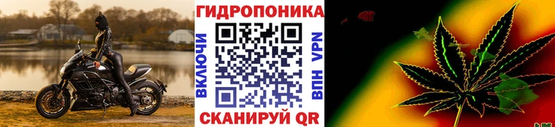 omg ТОР  Якутск  Шишки марихуана VHQ  купить  цена 